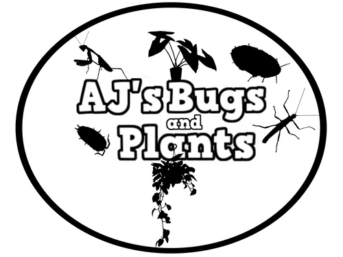 AJsBugsandPlants